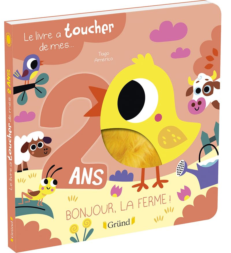 Le livre à toucher de mes 2 ans – Livre d'éveil avec 6 matières – À partir de 2 ans 9782324026263