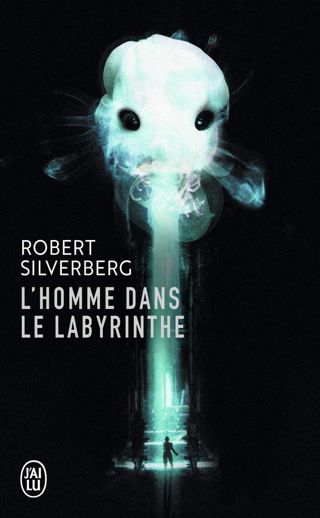 L'homme dans le labyrinthe 9782290332887
