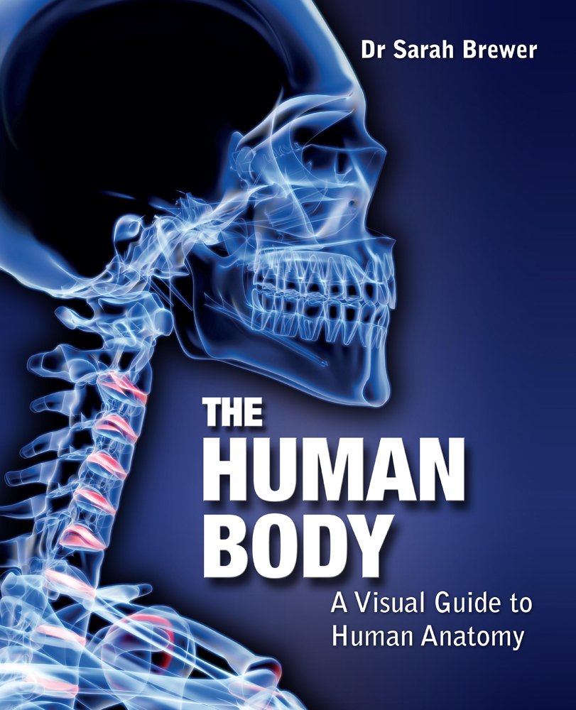 The Human Body: A Visual Guide to Human Anatomy 9780857382504