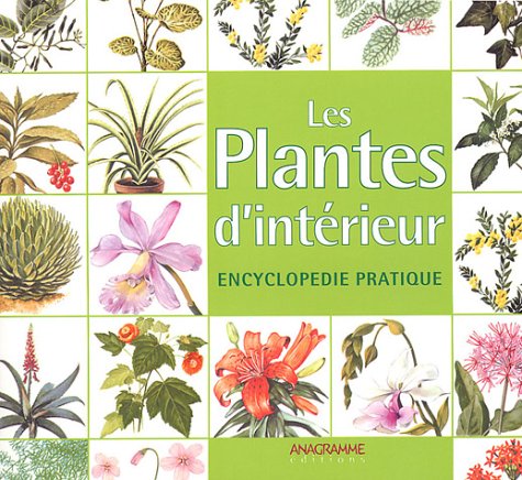 Les Plantes d'intérieur : Encyclopédie pratique 9782914571463
