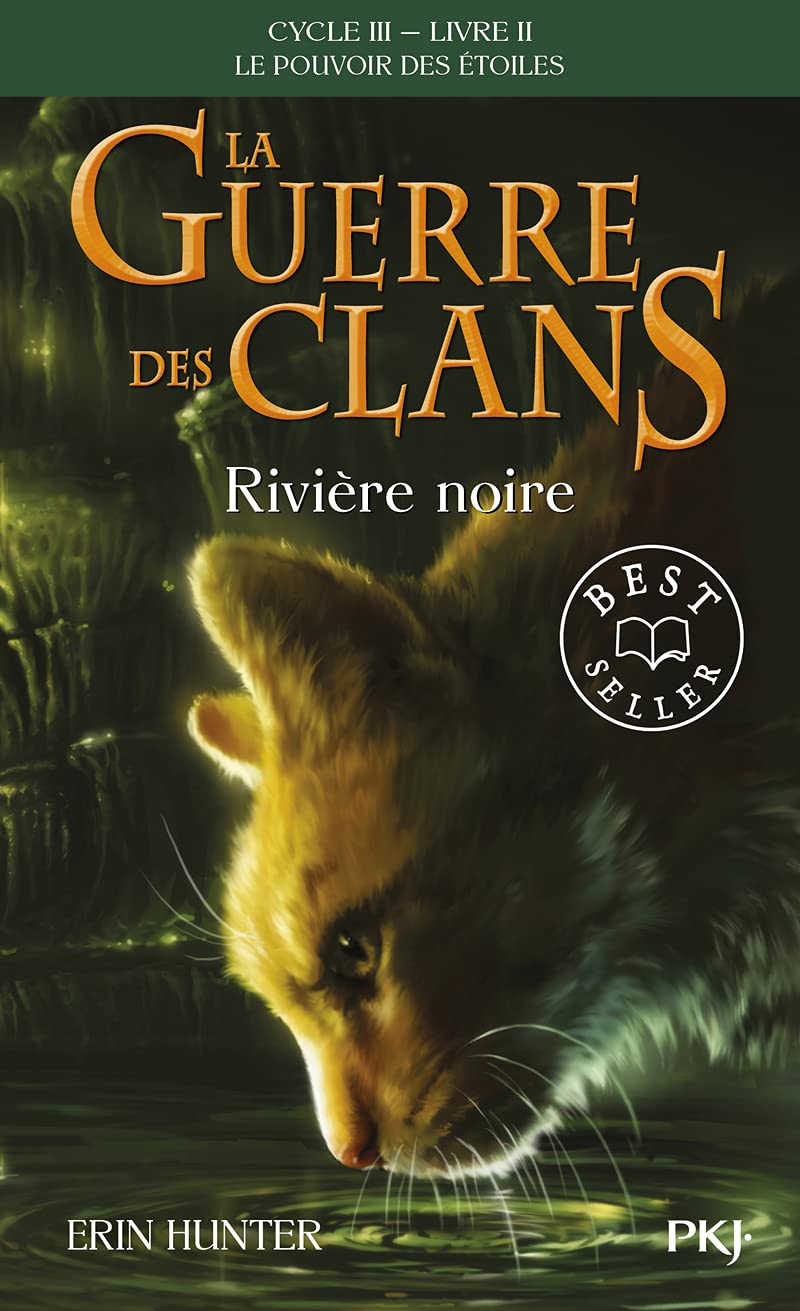 La guerre des Clans, cycle III - tome 02 : Rivière noire (2) 9782266282635