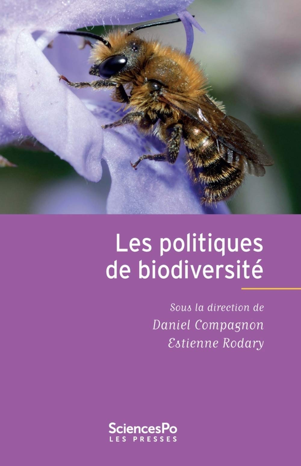 Les politiques de la biodiversité 9782724621709