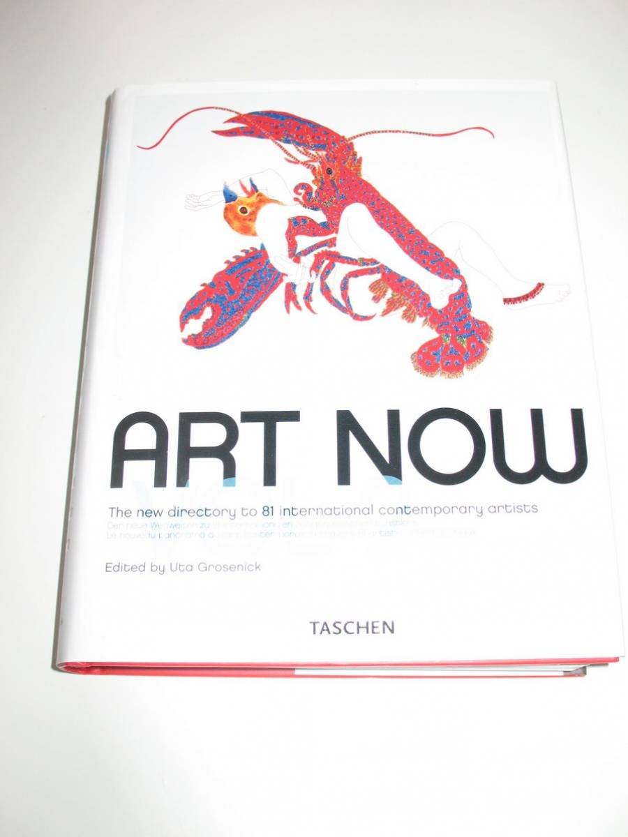 VA-25 ART NOW VOL 2 9783836503242