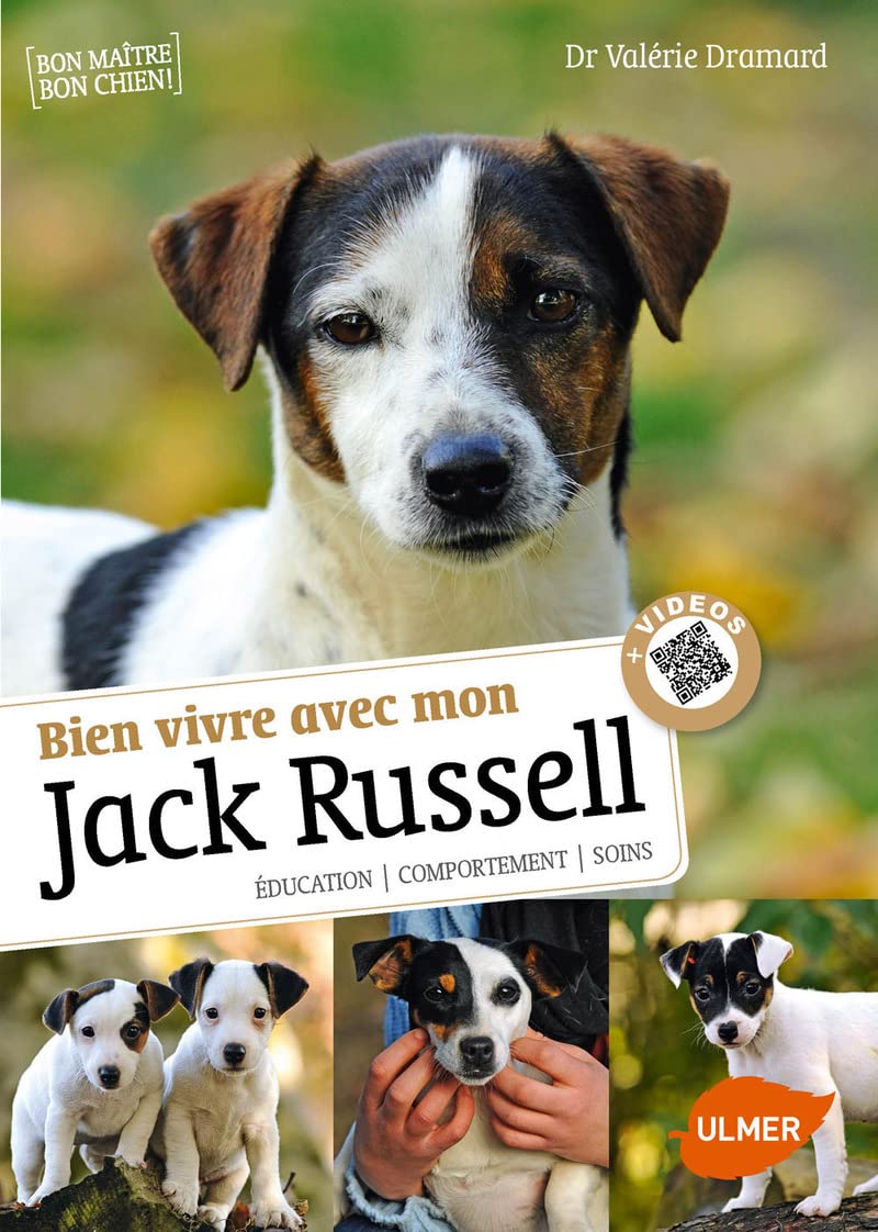 Bien vivre avec mon Jack Russel + Vidéos 9782841388431