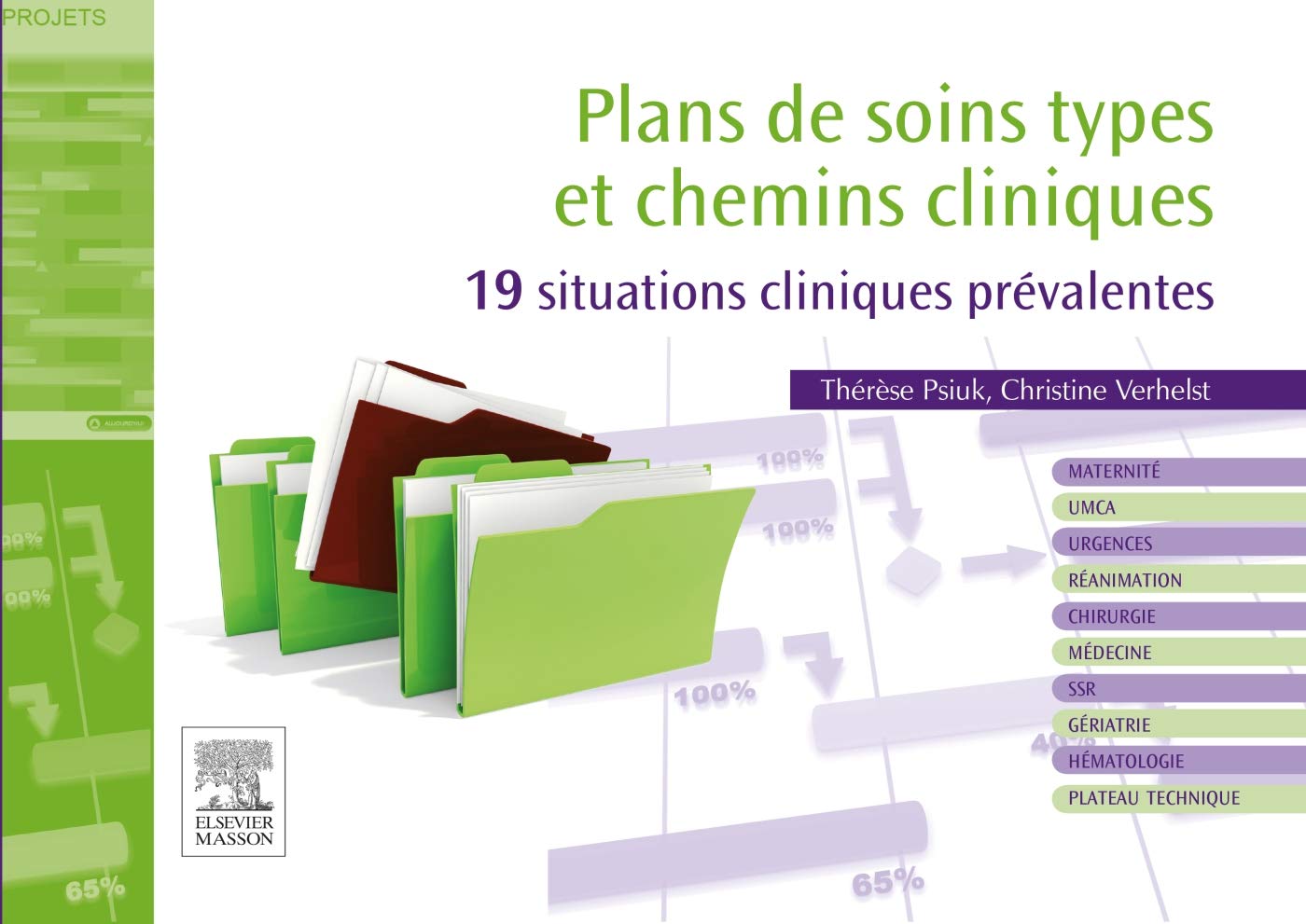 Plans de soins types et chemins cliniques: 19 situations cliniques prévalentes 9782294715709