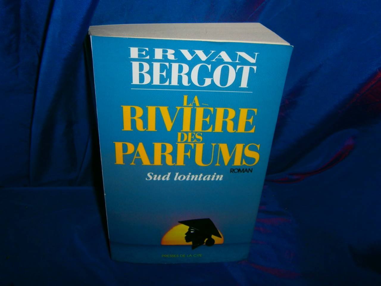 Sud lointain, tome 2 : La Rivière des parfums 9782258032552