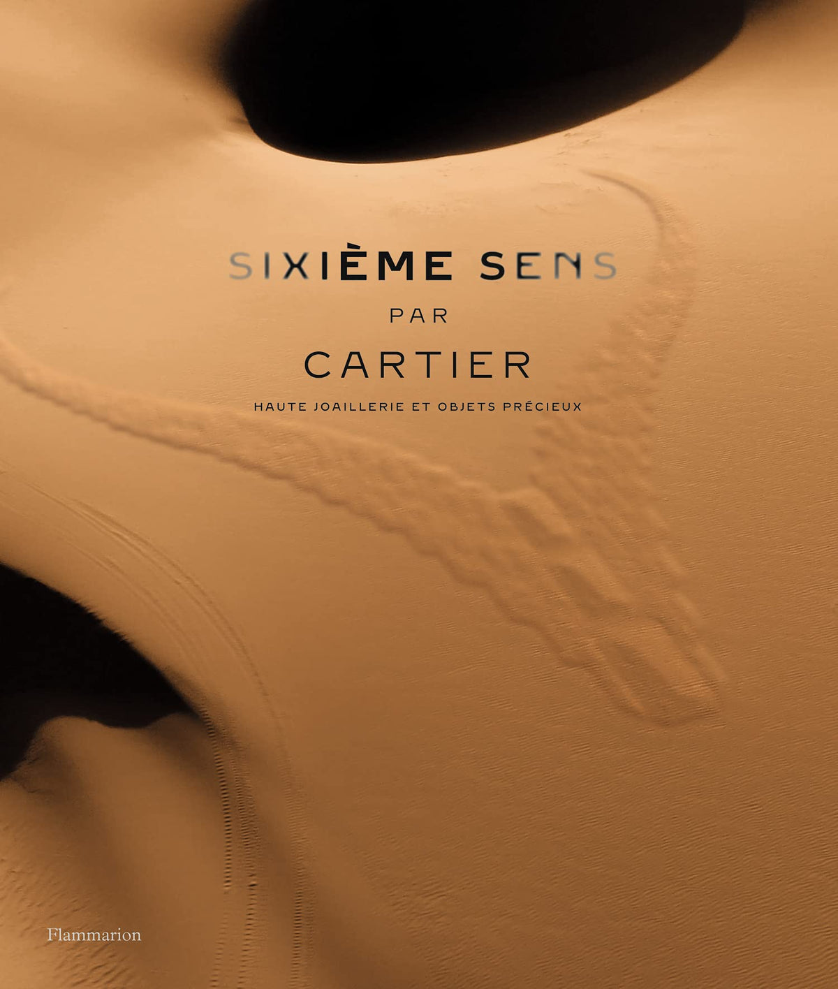 Sixième Sens par Cartier: Haute joaillerie et objets précieux 9782080256232