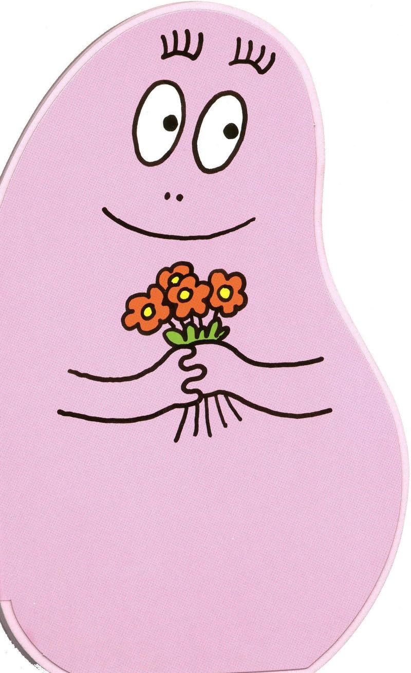 Mini-Barbapapa 9782878819571