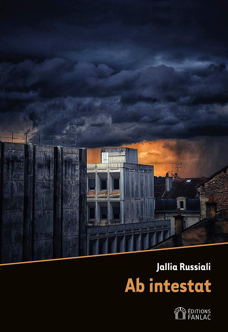 Ab intestat : Un caillou dans ma chaussure 9782865773169