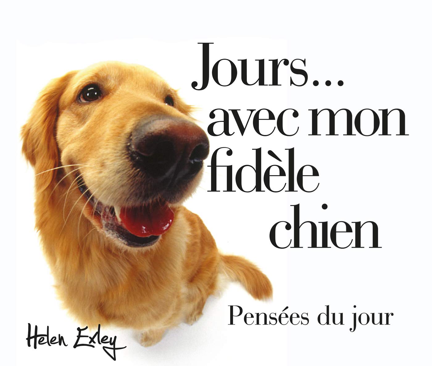 365 JOURS AVEC MON FIDELE CHIEN 9782873886622