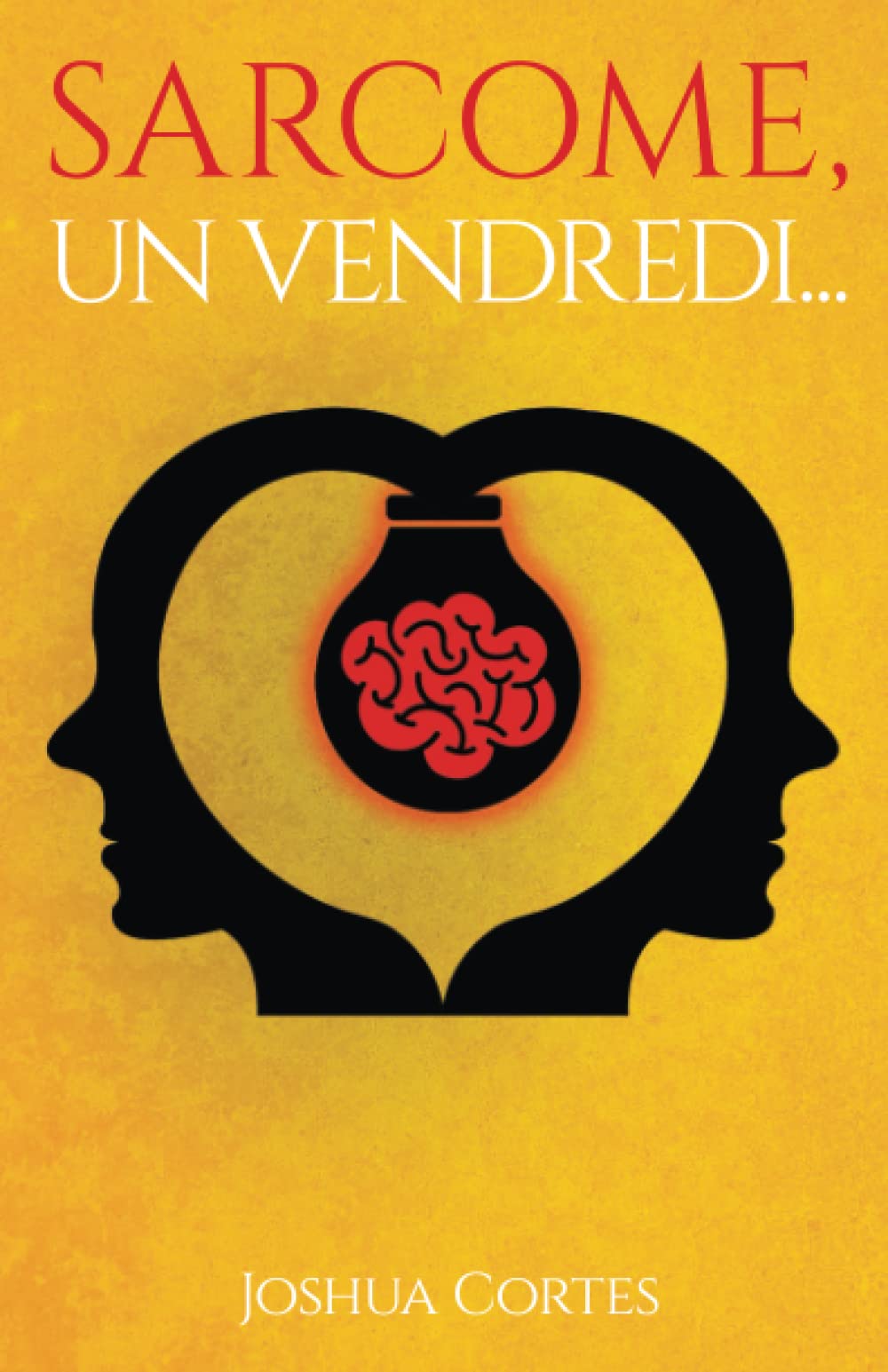 Sarcome, un vendredi… 9782958227302