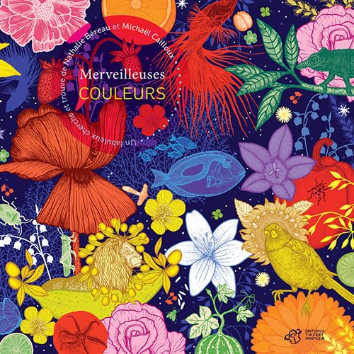 Merveilleuses couleurs: Un fabuleux cherche et trouve 9791035201999