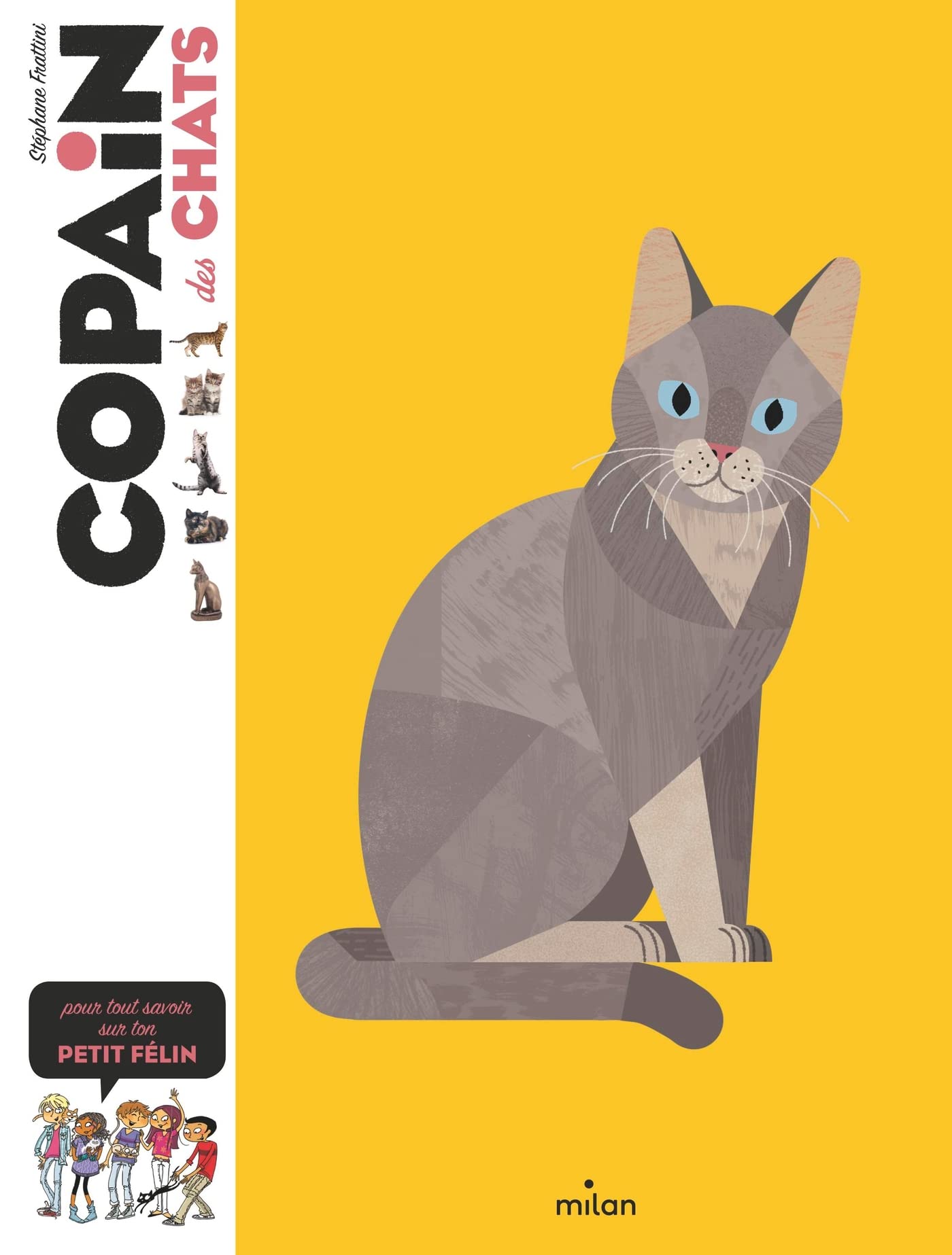 COPAIN - Copain des chats - Dès 8 ans 9782408014513