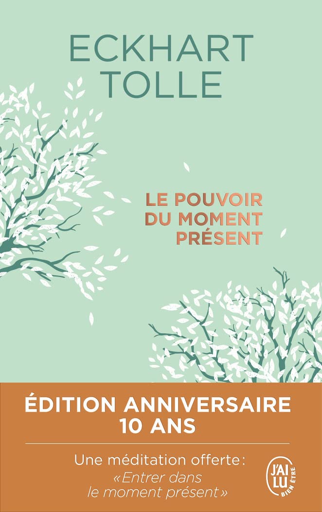 Le pouvoir du moment présent 9782290238806