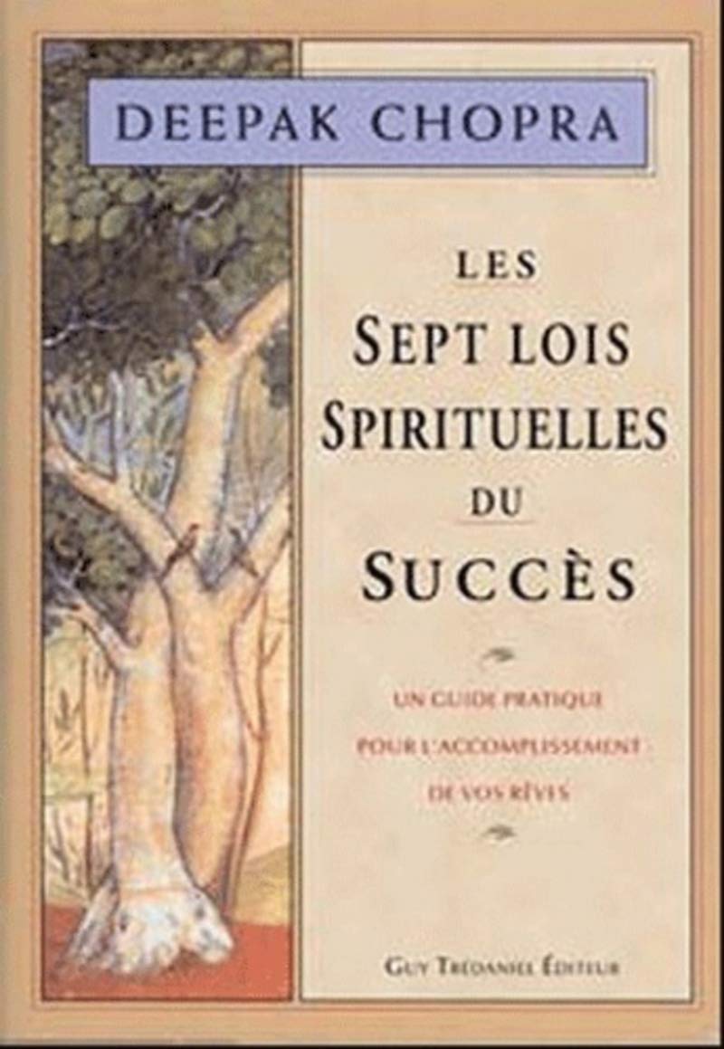 Les Sept Lois spirituelles du succès 9782844457349