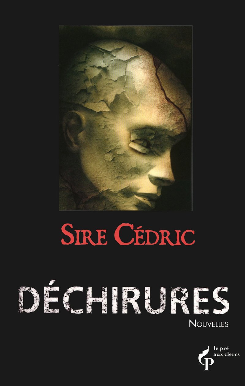 Déchirures 9782842283742