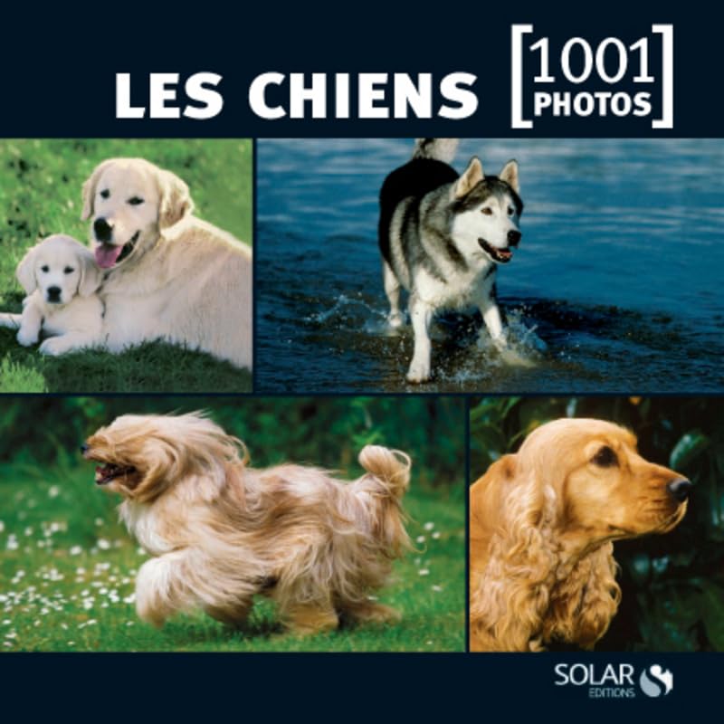 Les chiens en 1001 photos NE 9782263055638