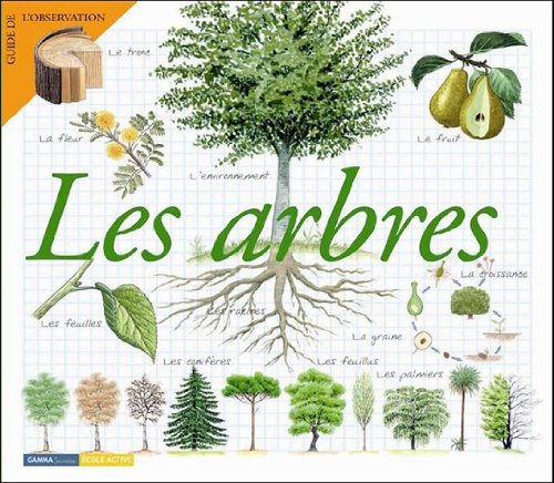 Les arbres: largeur = 247 mm 9782713021596