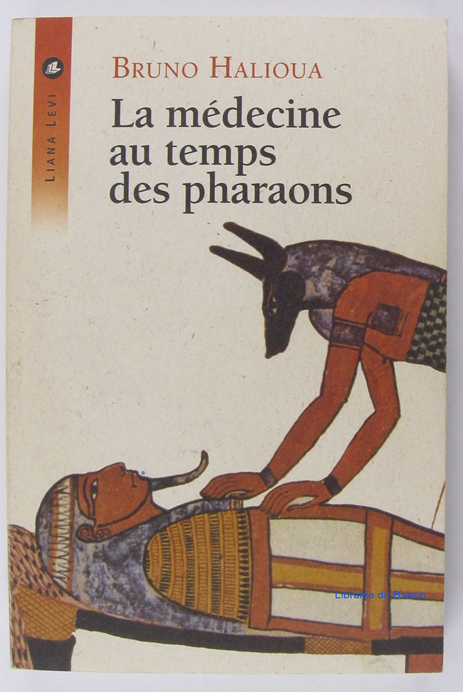 La Médecine au temps des pharaons 9782867463068