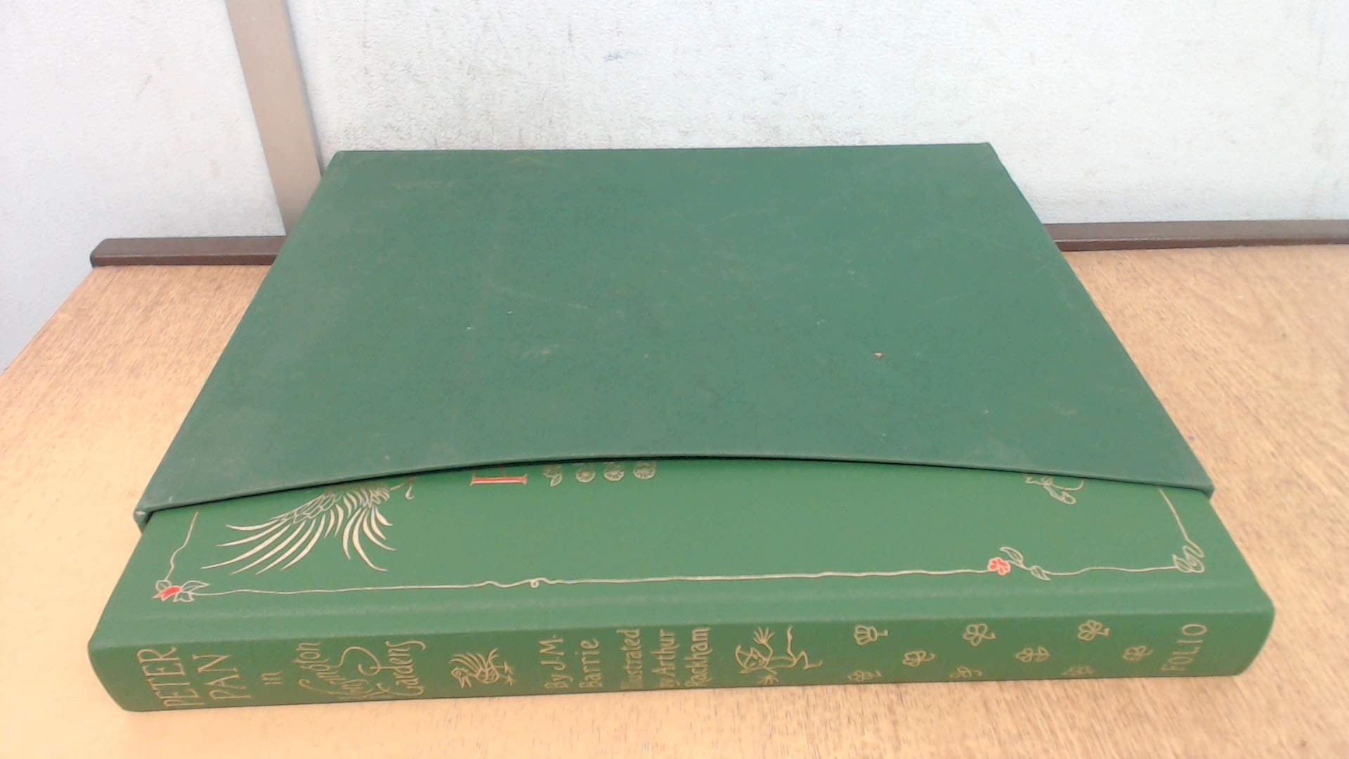 Peter Pan in Kensington Gardens - IIlustrated by Arthur Rackham 9788496412613