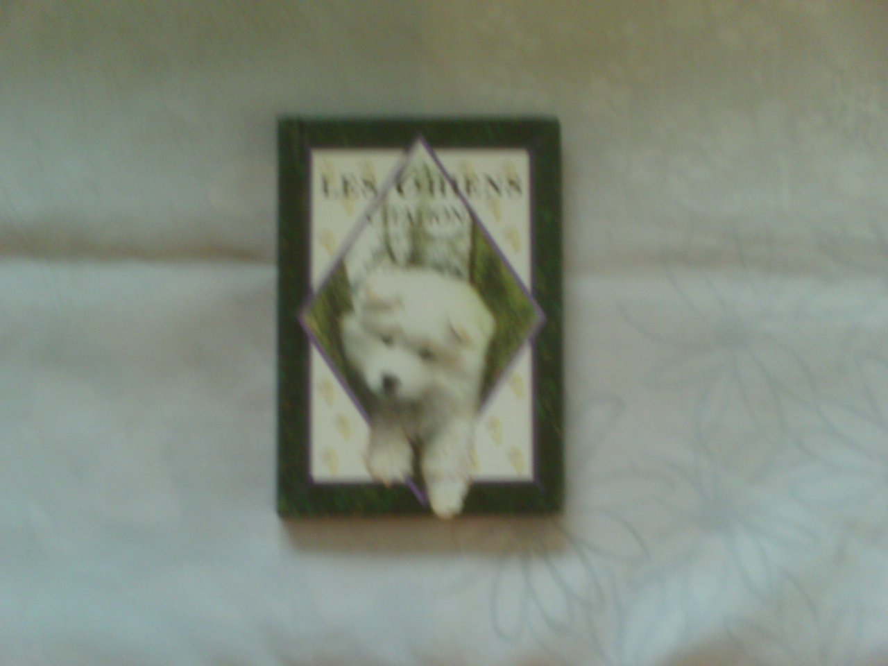 Les chiens. Citations 9782873880071