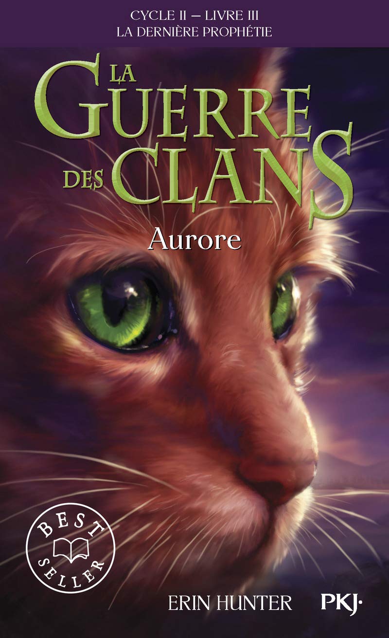 La guerre des Clans, cycle II - tome 03 : Aurore (03) 9782266238113