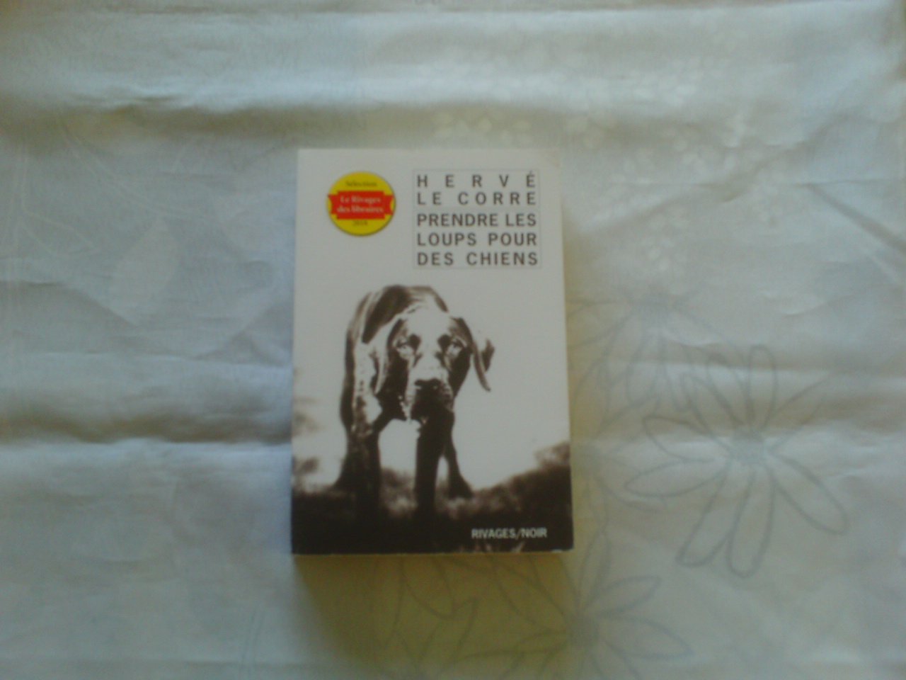 Prendre les loups pour des chiens 9782743642013