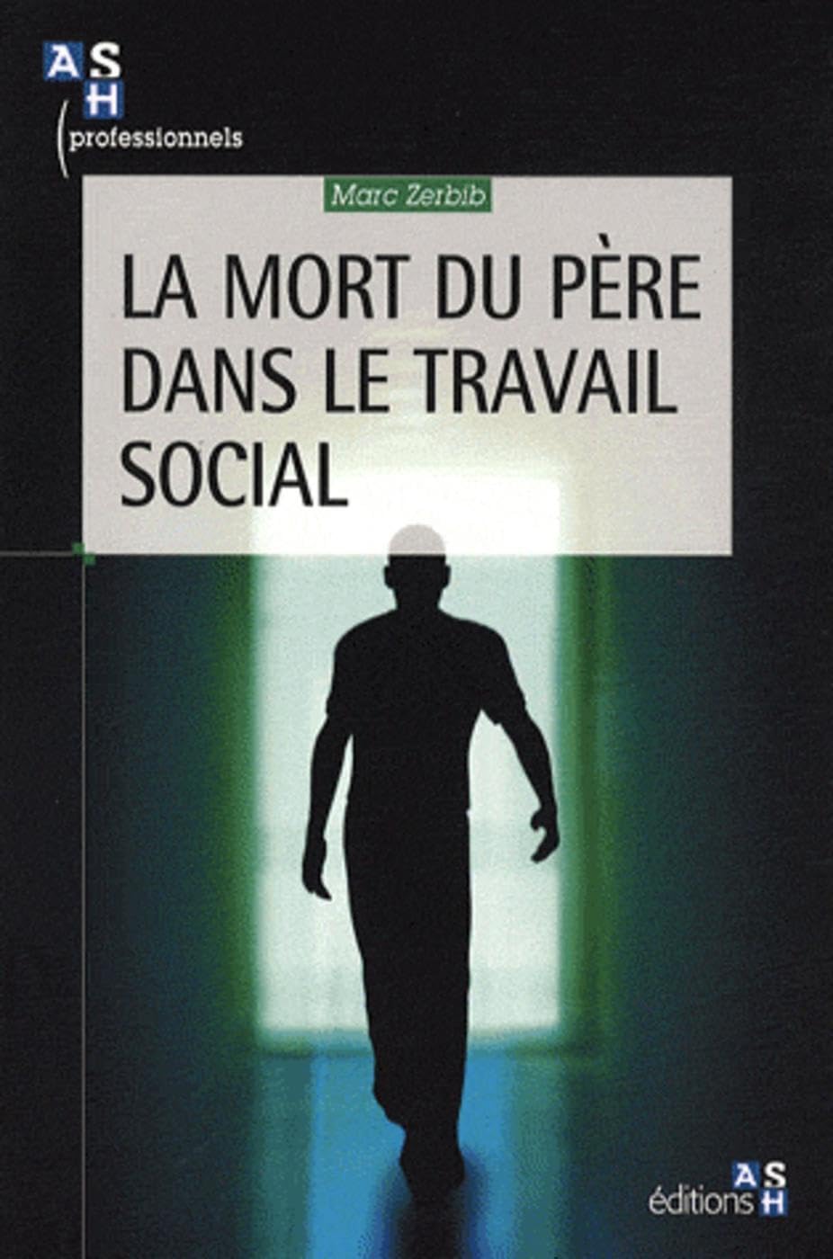 La mort du père dans le travail social 9782757302385