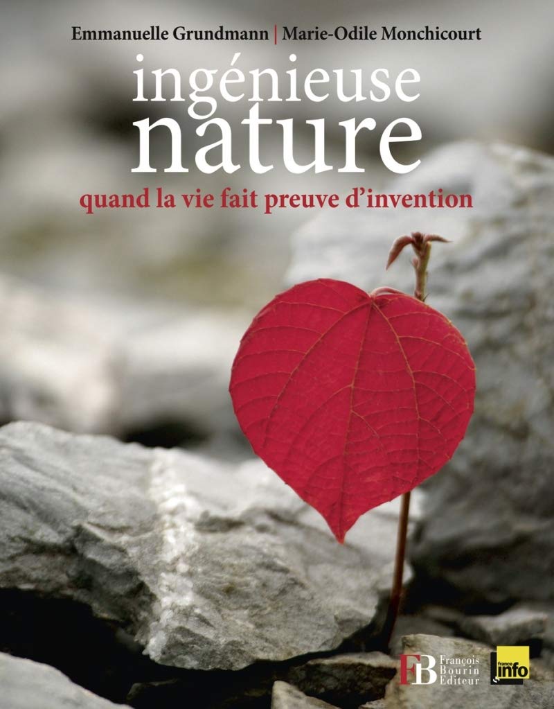 Ingénieuse nature: Quand la vie fait preuve d'invention 9782849412657