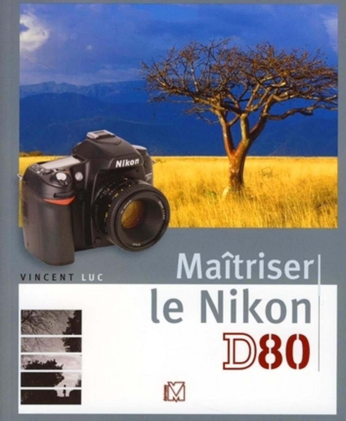 Maitriser le Nikon D80 9782212672794