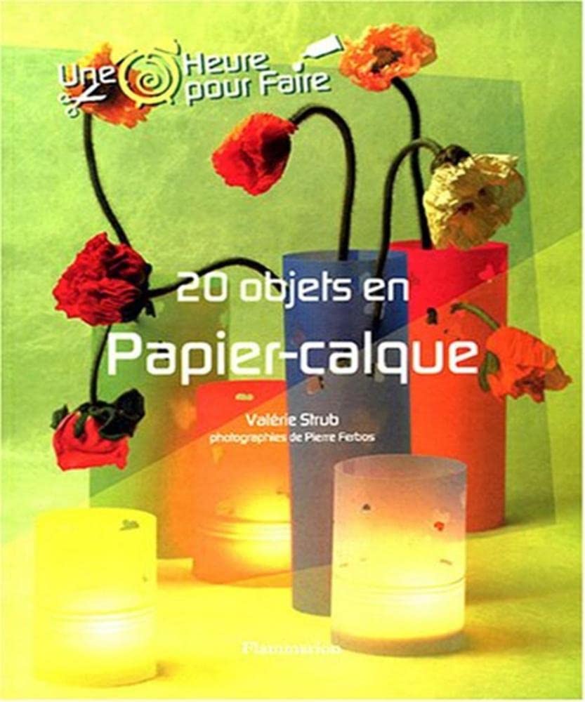 Objets en papier calque 9782702889404