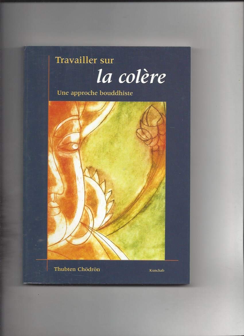 Travailler sur la colère : Une approche bouddhiste 9789074815857