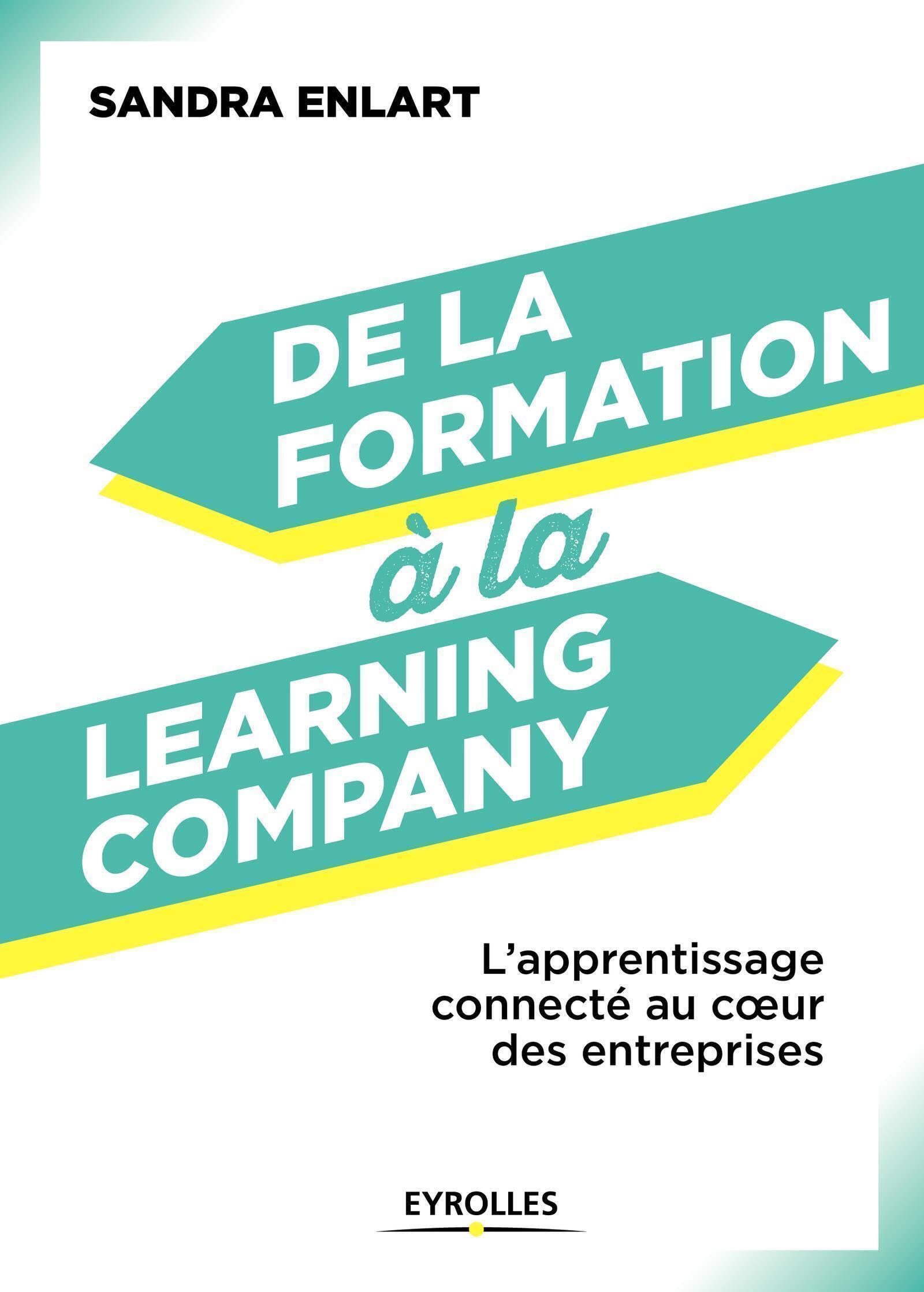 De la formation à la Learning Company: L'apprentissage connecté au coeur des entreprises 9782212570137