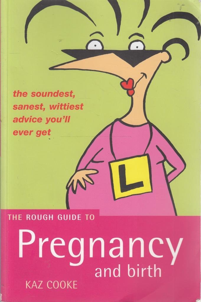 The Rough Guide to Pregnancy And Birth 9781858287652