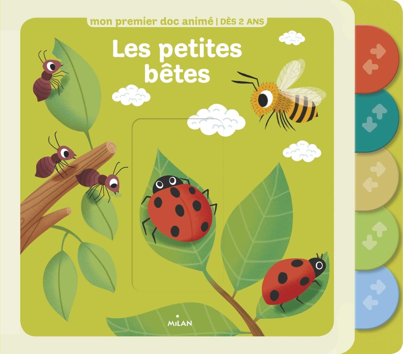 Les petites bêtes 9782745997784