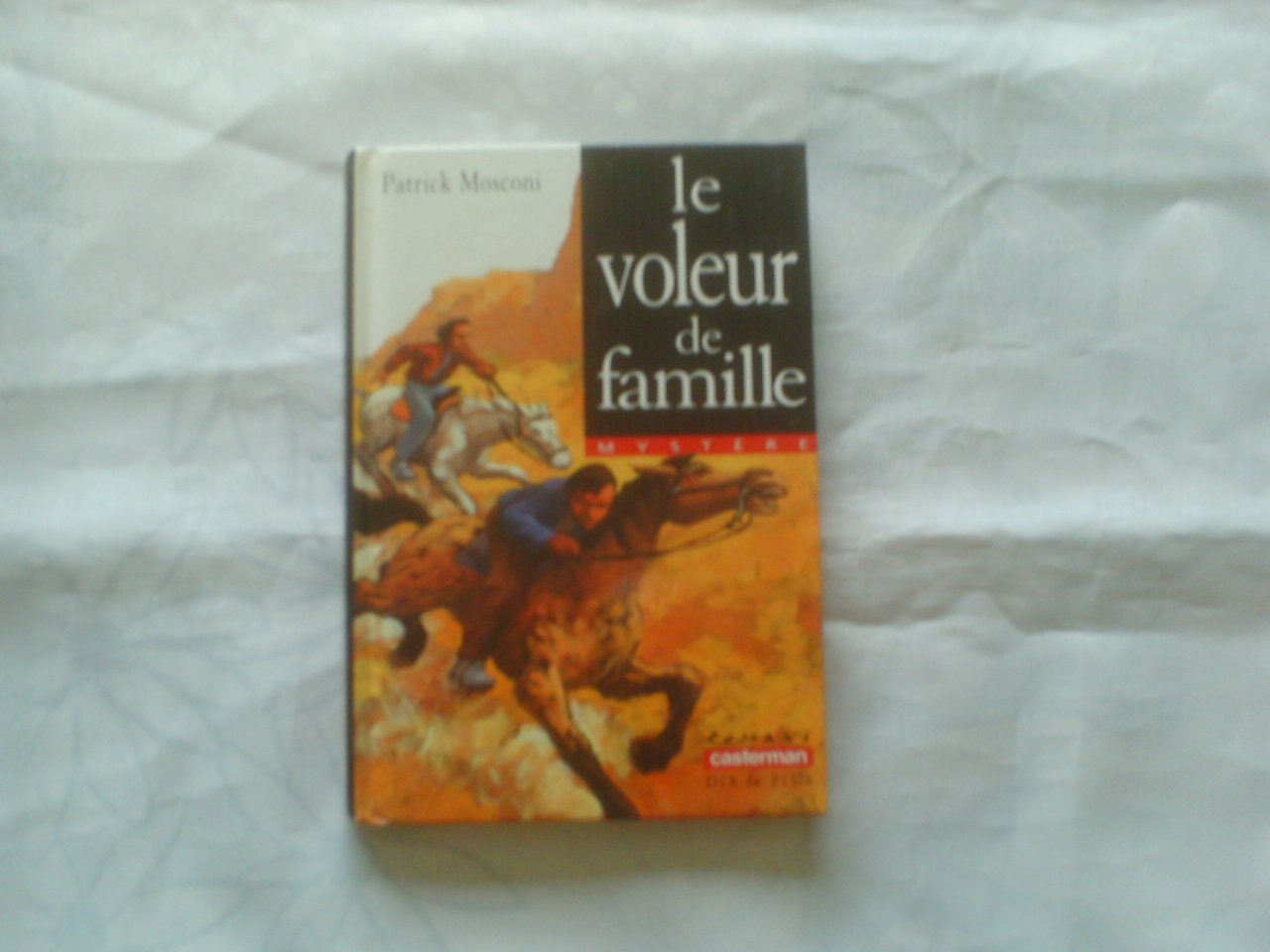 Voleur de famille (Le) 9782203117969