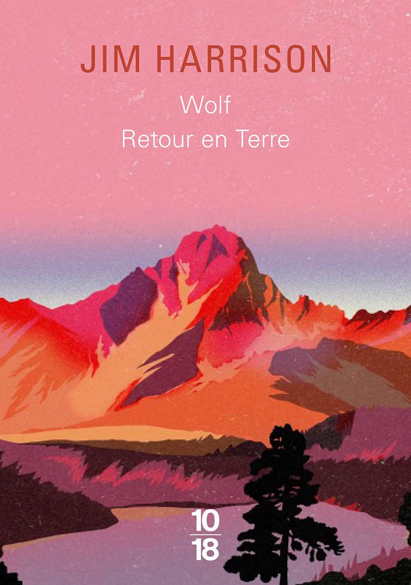 Recueil Wolf / Retour en terre 9782264074867
