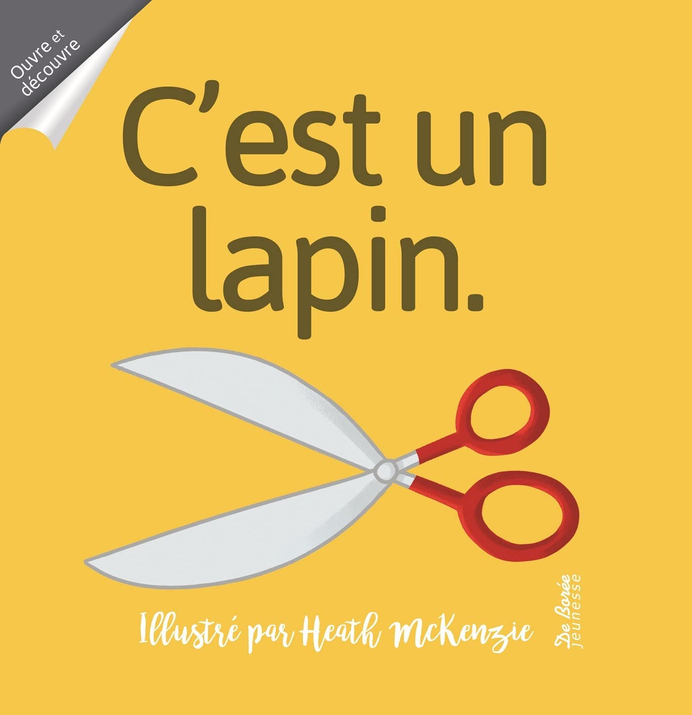 C'est un lapin 9782812924941