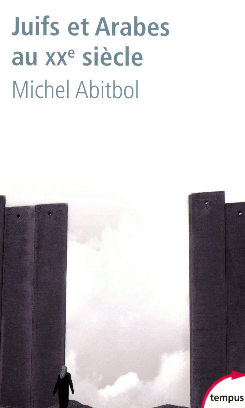 Juifs et Arabes au XXe siècle 9782262026080