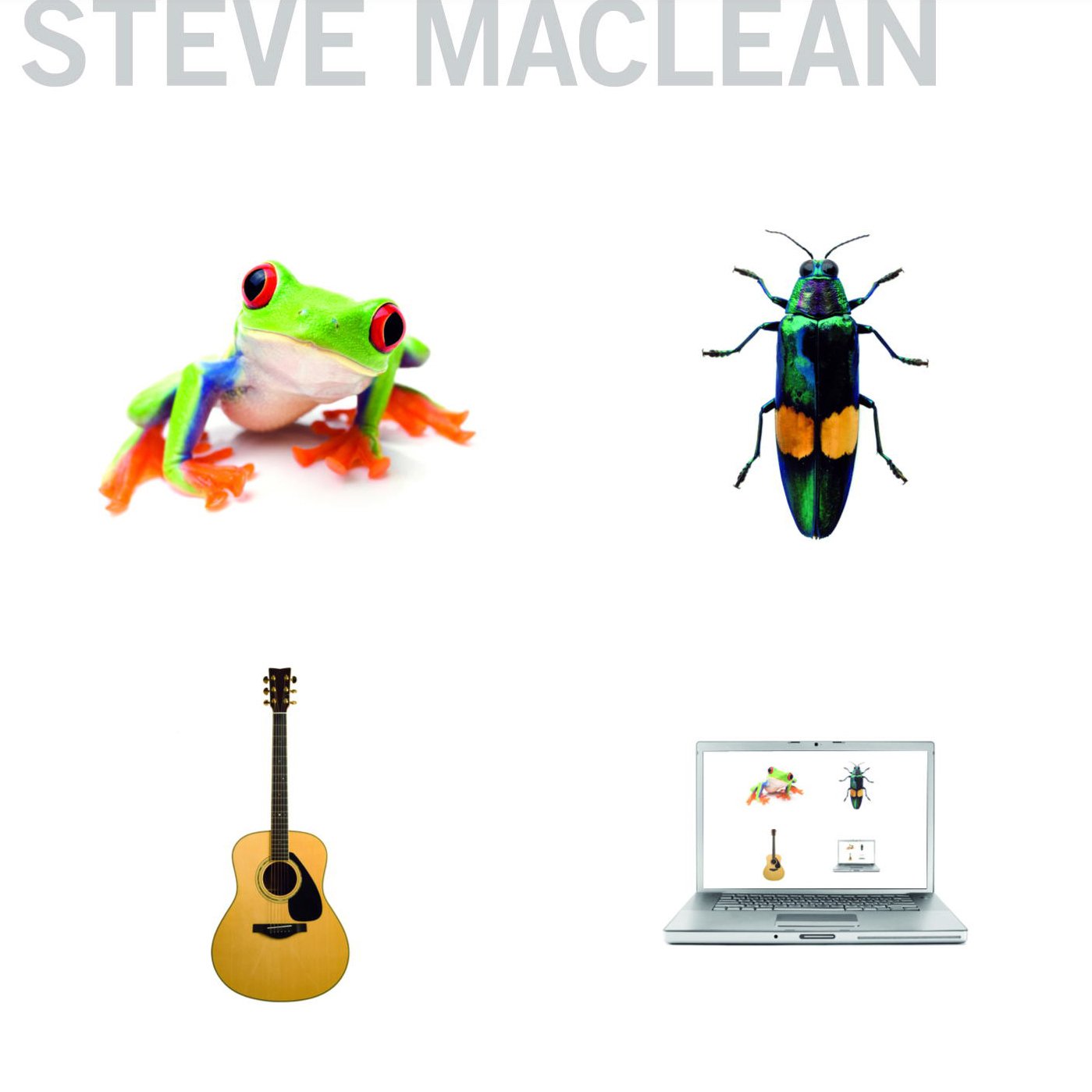 Frog Bug Guitar Computer 0752725024723