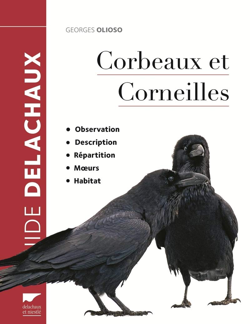 Corbeaux et corneilles 9782603024553