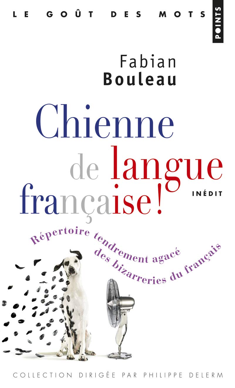 Chienne de langue française!: Répertoire tendrement agacé des bizarreries du français 9782757840931