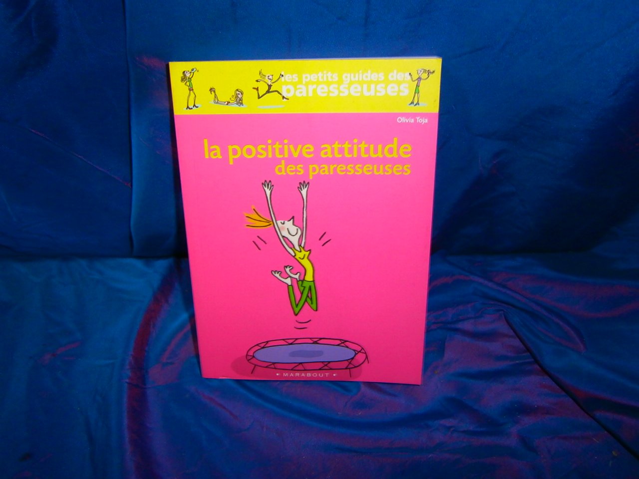 La Positive Attitude des paresseuses 9782501045513