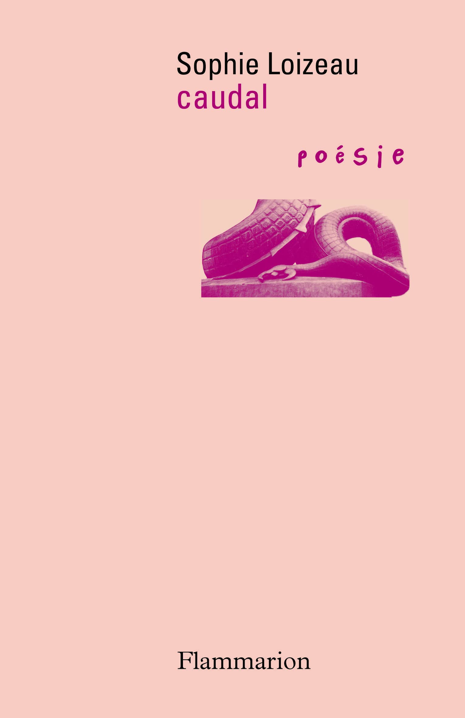 caudal 9782081289284