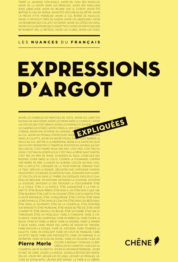 Expressions d'argot expliqués 9782812312236