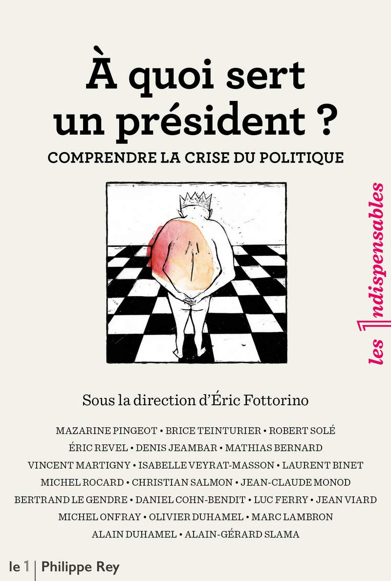 A quoi sert un président ? Comprendre la crise du politique 9782848765839