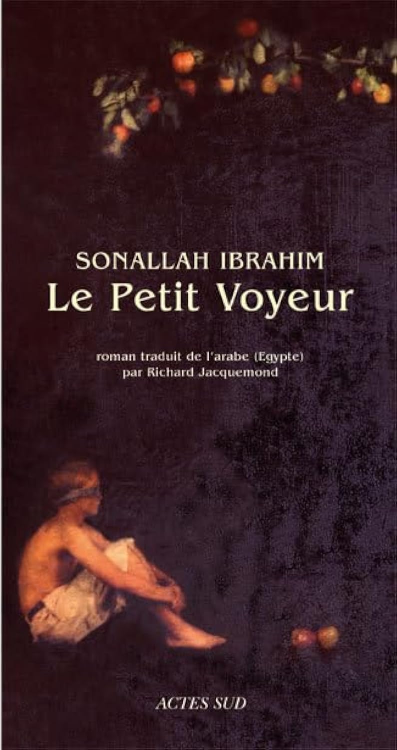 Le Petit voyeur 9782742777273