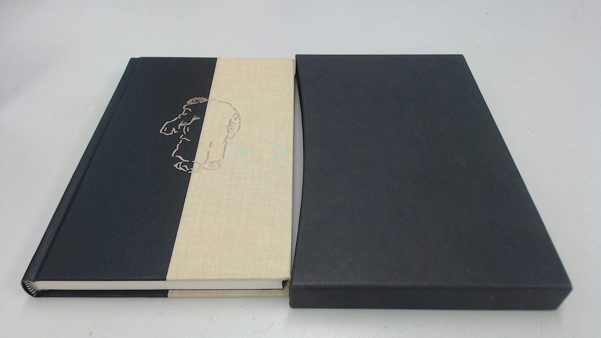 Dr. Jekyll et Mr. Hyde 9782013919920