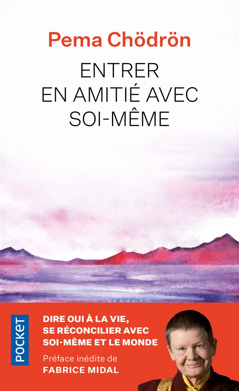 Entrer en amitié avec soi-même 9782266093118