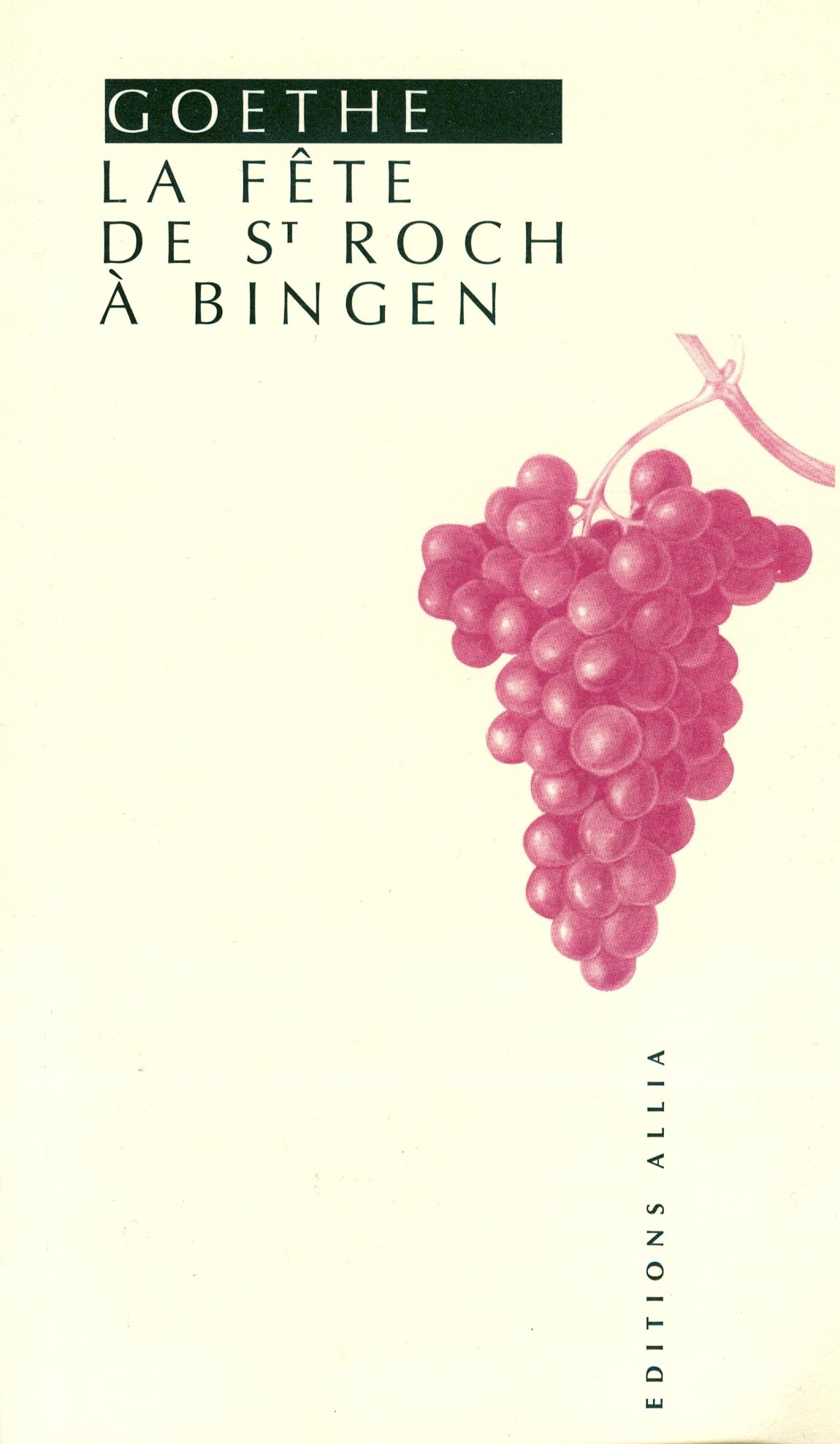 La Fête de Saint Roch à Bingen 9782911188268